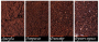 wiki:images:5e836540d7800.png